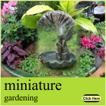 Miniature plants